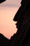 Hugh Leslie Face of Stone